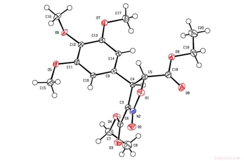 RUDN University Researchers Pioneer Isoxazole-Based Anti-Tumor Drug