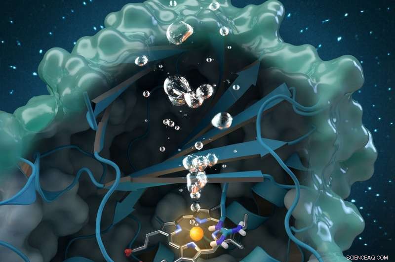 Neutron Scattering Unveils Oxygen-Generating Enzyme, Advancing Eco‑Friendly Water Purification