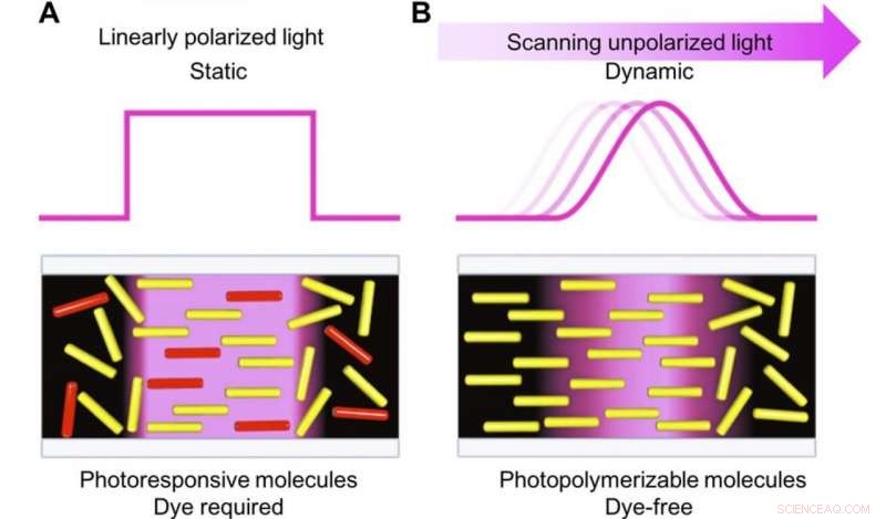 Photopolymerization‑Triggered Molecular Motion for Next‑Gen Flexible LCDs