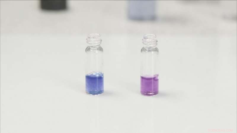 University of Bath’s Colour‑Changing Water Test Could Prevent Severe Bone Disease