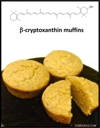 Cooking Doesn’t Strip Nutrients: Biofortified Corn and Eggs Preserve Vitamin A to Prevent Blindness