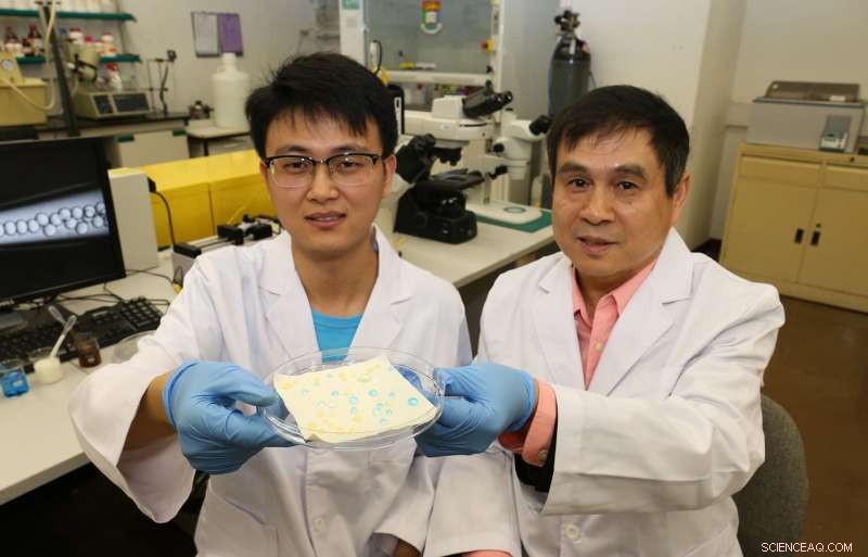 Researchers Pioneer Advanced Liquid‑Repellent Surfaces for Superior Performance