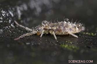 Researchers Pioneer Advanced Liquid‑Repellent Surfaces for Superior Performance