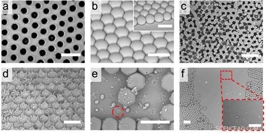 Researchers Pioneer Advanced Liquid‑Repellent Surfaces for Superior Performance