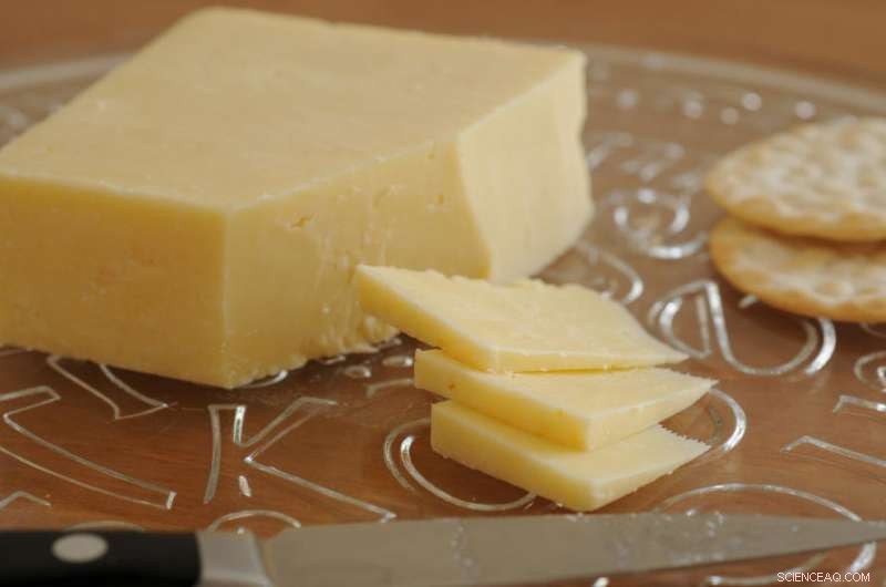 Low‑Fat Cheddar Created with Double‑Emulsion Tech and Minimal Food‑Grade Emulsifiers