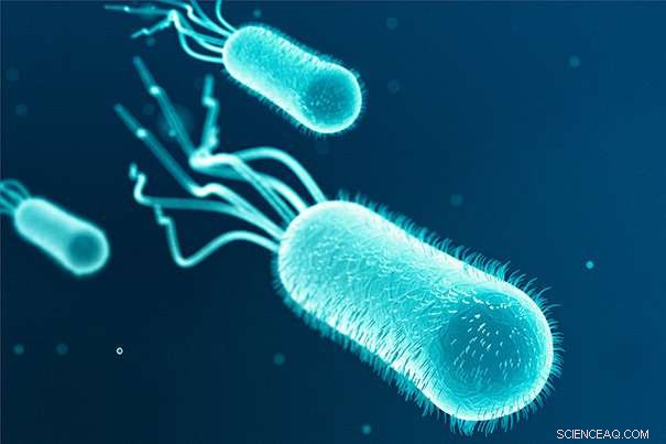 Microbial Threat: How a Strain of E. coli Can Deplete Choline and Trigger Deficiency