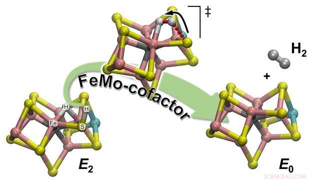 Chemists Uncover a Key Mechanism for Hydrogen Production by Nitrogenase