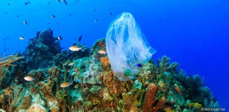 Reimagining Plastics: Turning Waste into Value for a Cleaner Future