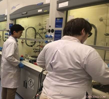 Enhanced Water‑Stability of Metal Hydrides for Sustainable Catalysis