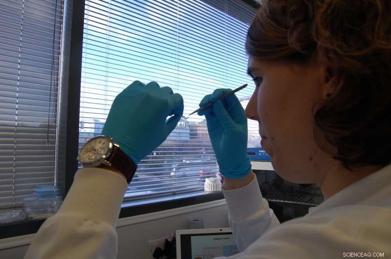 Revolutionizing Cell Culture: Introducing a Continuous Bioprocess for Efficient Production