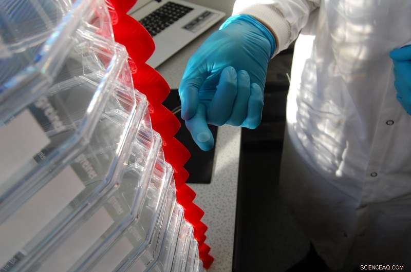 Revolutionizing Cell Culture: Introducing a Continuous Bioprocess for Efficient Production