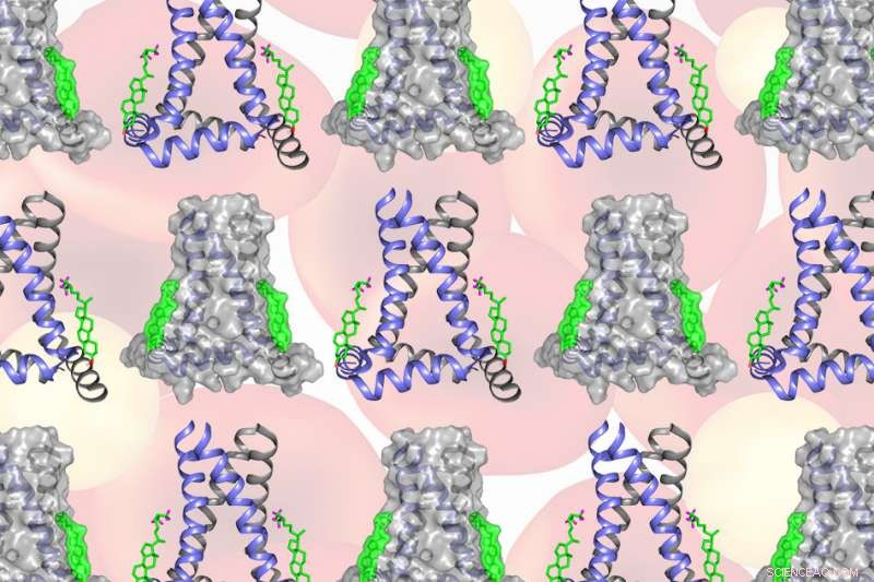 Cholesterol Enables Influenza Virus Release by Altering Host Cell Membrane