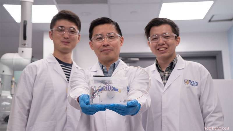 NUS Researchers Create Sun-Powered Device for Sustainable Ethylene Production