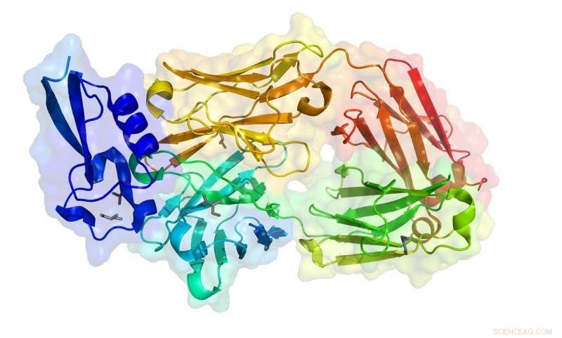 Unveiling Life s Secrets: Crystallographers Discover 1,000 Protein Structures