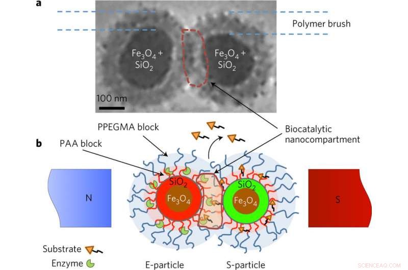 Magnetic Nanoparticles: Precise Control of Targeted Drug Release via On‑Demand Chemical Reactions