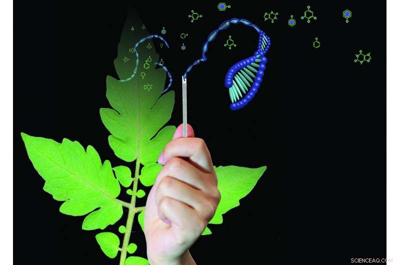 Revolutionizing Disease Diagnosis with Rapid Dipstick Technology