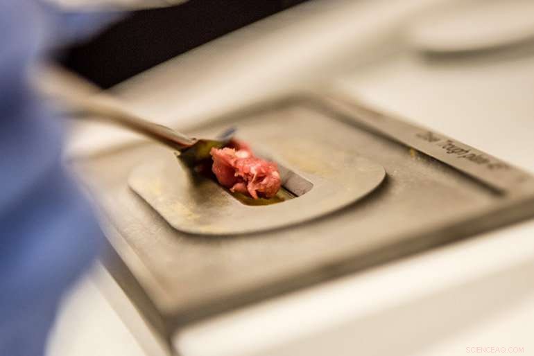 Fast, Reliable Method Detects Impurities in Ground Beef in Minutes