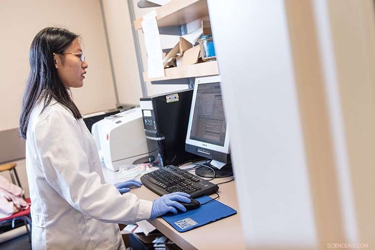 Fast, Reliable Method Detects Impurities in Ground Beef in Minutes