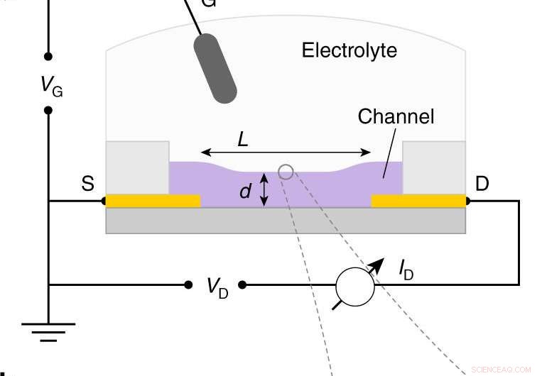 Innovative Benchmarking Method Validates Organic Mixed Conductors