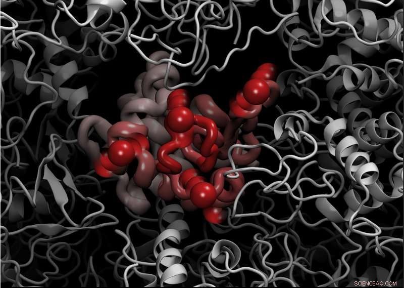Revisiting the Lindemann Criterion: Elastic Incoherent Neutron Scattering Reveals New Insights into Protein Dynamics