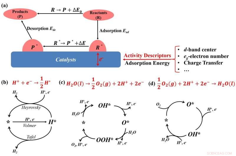 Key Activity Descriptors for Electrocatalysts in Energy Storage Systems