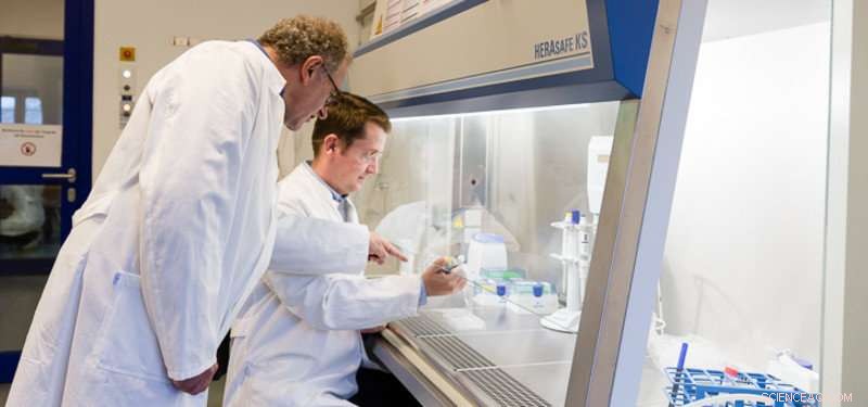 Leuphana Researchers Pioneer Eco-Friendly Antibiotics That Degrade Naturally