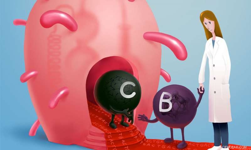 Scientists Engineer Bacteria to Create Novel Boron‑Carbon Bonds, Expanding Biological Chemistry