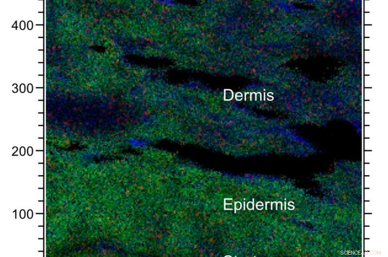 Revolutionary Skin Mapping Method Detects Chemical Exposure Accurately