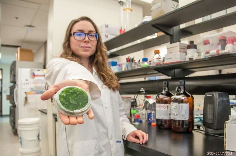 UBC Study Finds Dangerous Neurotoxin in Lake Winnipeg Waters