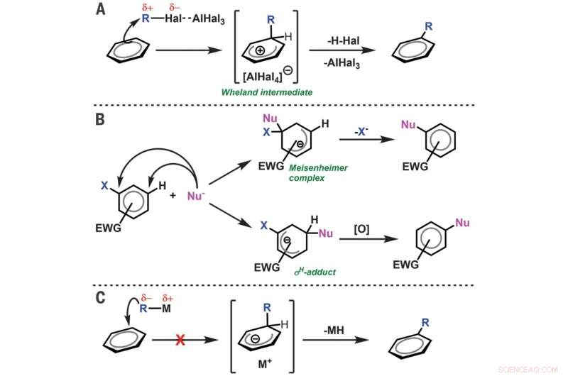 Understanding Aromatic Alkylation Mechanisms: Electrophilic and Nucleophilic Pathways