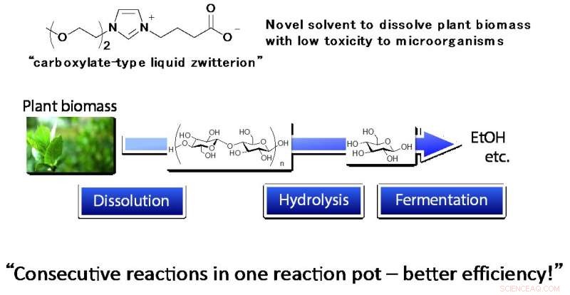 Innovative Solvent Accelerates Next-Gen Biomass-to-Biofuel Conversion