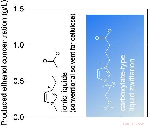 Innovative Solvent Accelerates Next-Gen Biomass-to-Biofuel Conversion