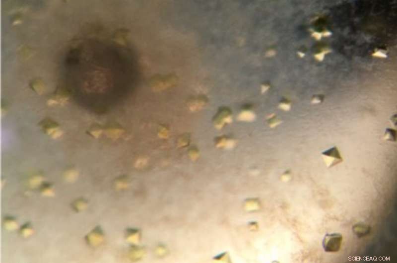 Scientists Investigate DNA‑Repair Enzyme Targeting UV‑Induced Damage