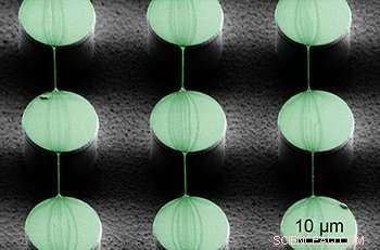 Revolutionary Method Produces Bioactive Spider Silk for Advanced Medical Applications