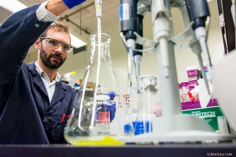 Lab‑Grown Meat: Balancing Health, Ethics, and Sustainability – Insights from a Former Butcher