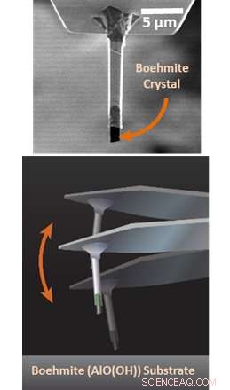 Quantifying Minute Forces to Uncover Significant Effects