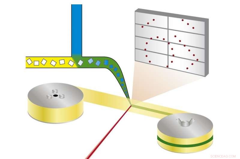 Revolutionary Automated Technique Speeds Enzymatic Process Analysis
