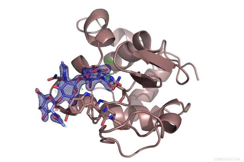Revolutionary Automated Technique Speeds Enzymatic Process Analysis