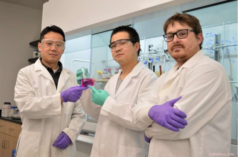 WSU Scientists Unveil Innovative Near‑Infrared Washington Red Dye for Enhanced Bio‑Imaging