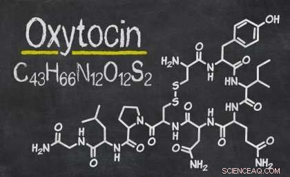 University of Queensland Scientists Develop Safer Oxytocin Variant