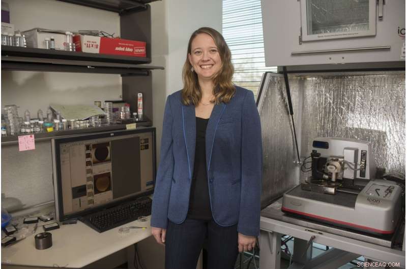 Enhancing Polyelectrolyte Brushes: Strategies to Optimize Bristle Flexibility and Stability