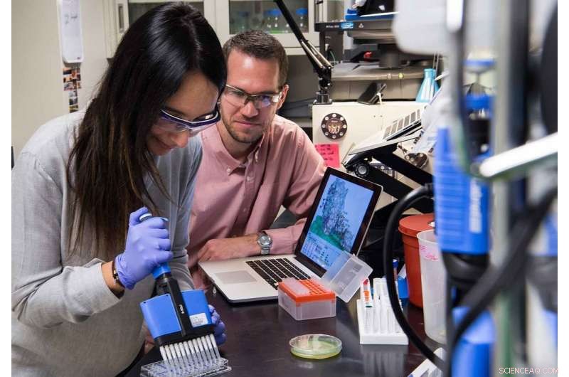 Research Identifies Optimal Conditions for Engineering Advanced Cellulose‑Degrading Enzymes