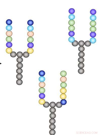 Scientists Unveil Rapid Pipeline for Next-Gen Antimicrobials
