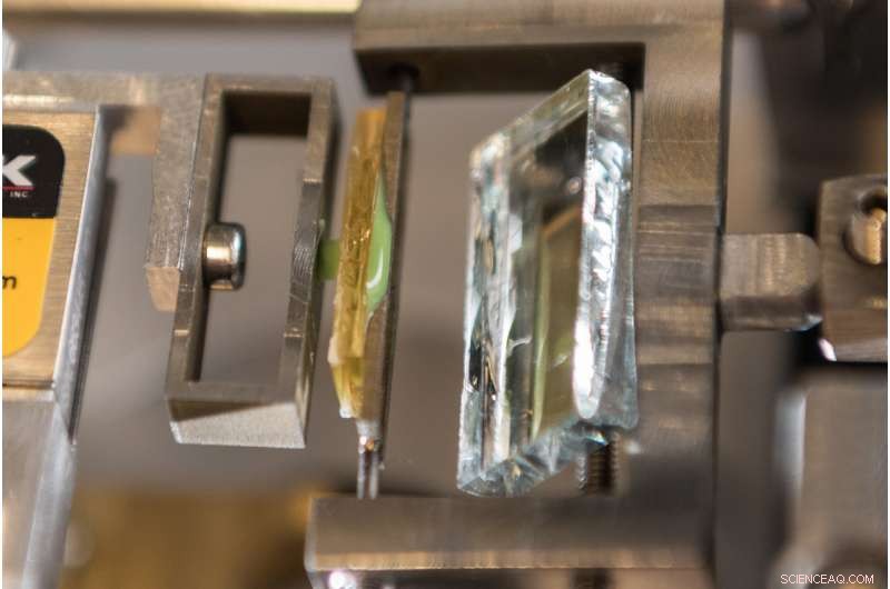 Gecko Adhesion Tech Breaks Ground: Moving Closer to Industrial Applications