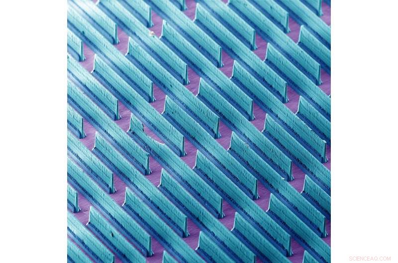 Gecko Adhesion Tech Breaks Ground: Moving Closer to Industrial Applications