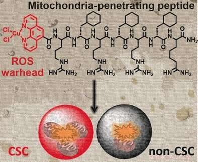 New Copper Metallopeptide Targets and Disrupts Mitochondria in Breast Cancer Stem Cells