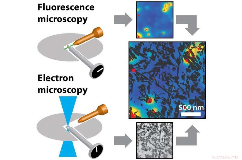 Ph.D. Candidate Traces Single Catalyst Particle Movements with Fluorescence Microscopy