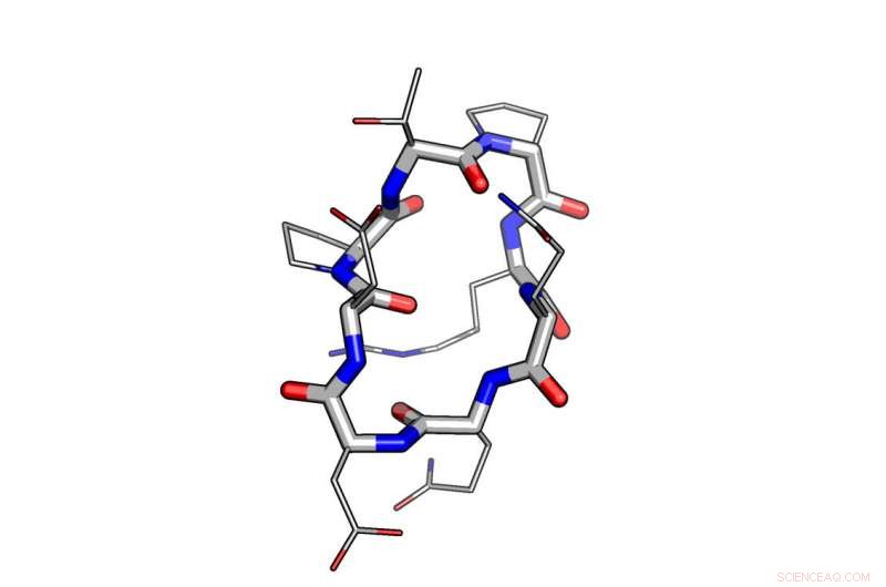 Harnessing Computational Design to Overcome Challenges in Peptide Therapeutics