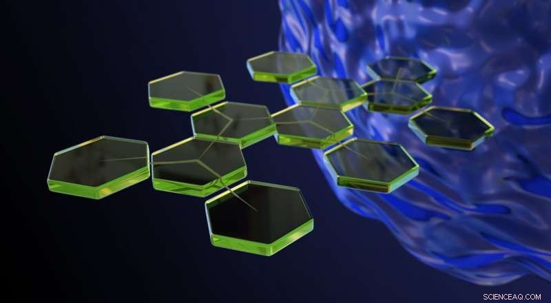 Unveiling the Sugar-Coated World: Glycans  Role in Cell Communication and Immune Response