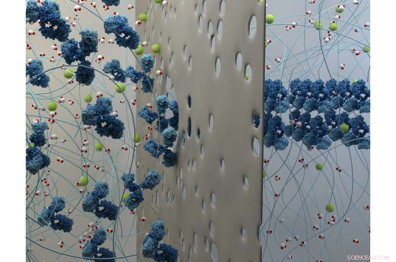 Revolutionary Molecular Printing Enables Realistic Human‑Body‑Like Chemical Environments